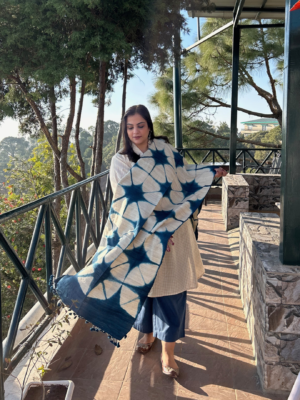 Shibori Print Bhujodi Silk Stole