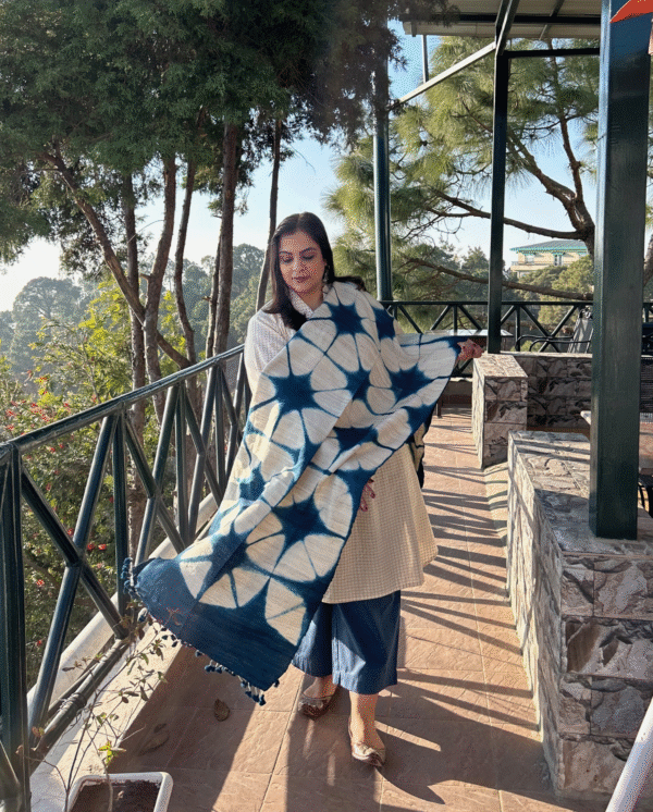 Shibori Print Bhujodi Silk Stole