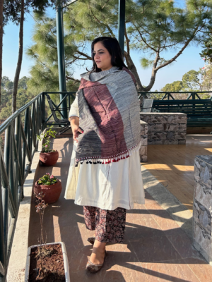 Tri-color Bhujodi Handwoven Silk Stole