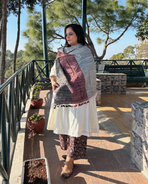 Tri-color Bhujodi Handwoven Silk Stole